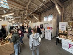 IMG 8592